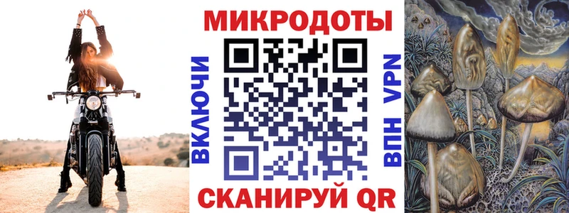 Купить где  Кириши  Галлюциногенные грибы Magic Shrooms 